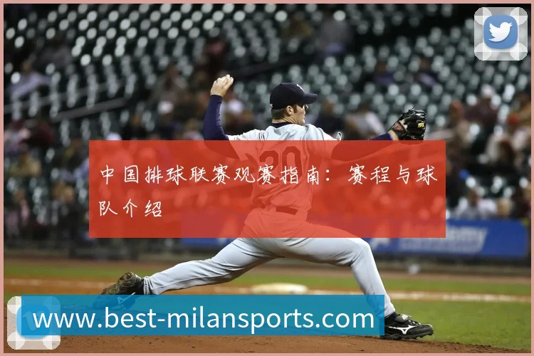 中国排球联赛观赛指南：赛程与球队介绍