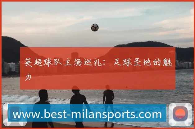 登录器